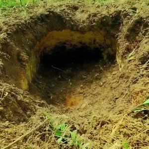 Geotechnical engineering